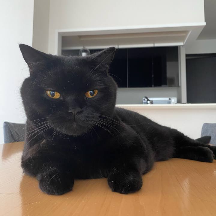 Bcd1463f 168f 4932 ac95 f615846fe75a 1726353579004