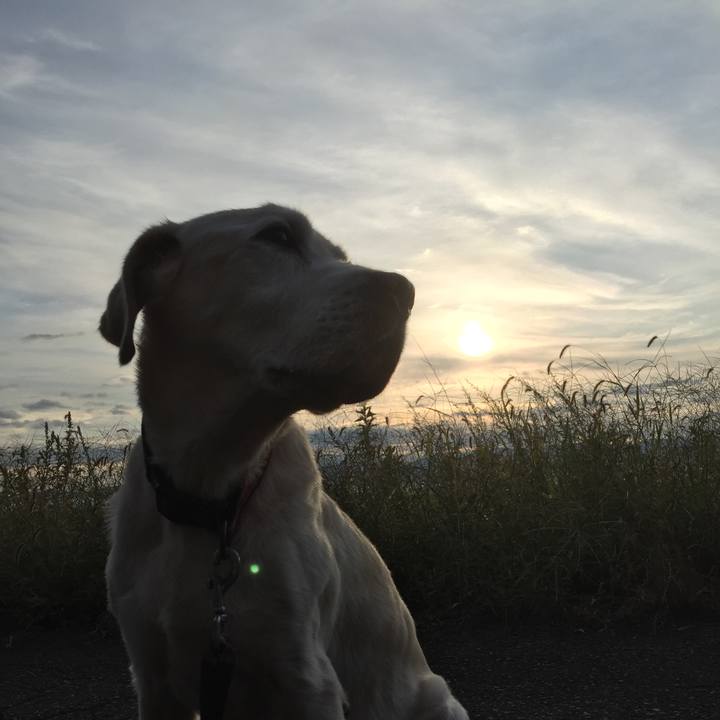 Bcd14705 241b 4a96 b984 c2c4d6020624 1631704966049