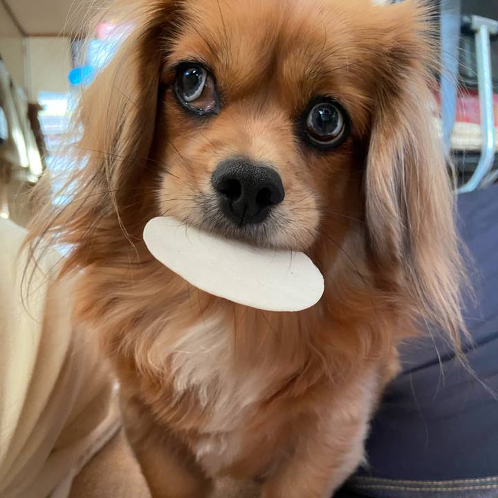 Bcd171bf bbbf 40e0 b77c 093906c05a2e 1606772403626