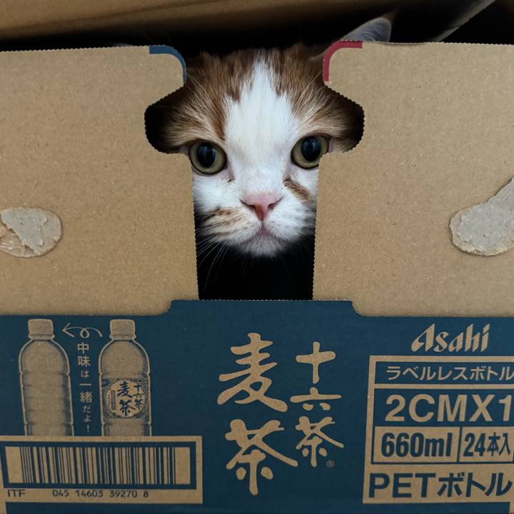 Bcd18157 816c 4e81 94c8 197c97a734ba 1773540765116