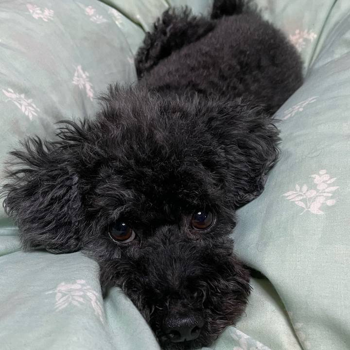 Bcd227ee 758c 4de5 a3af d844609ecf38 1731934116610