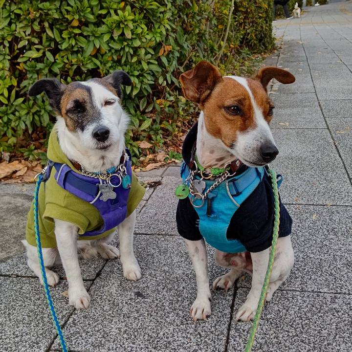 Bcd24644 3c18 44a9 a4a9 030ccaada11a 1639265929338