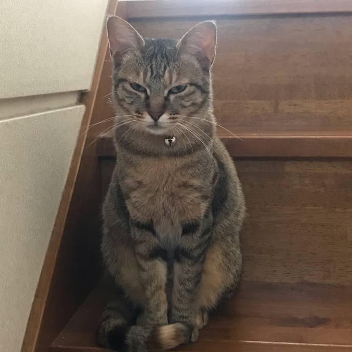 Bcd265b6 1270 4f90 aa4b 264c6d798c11 1588808506512