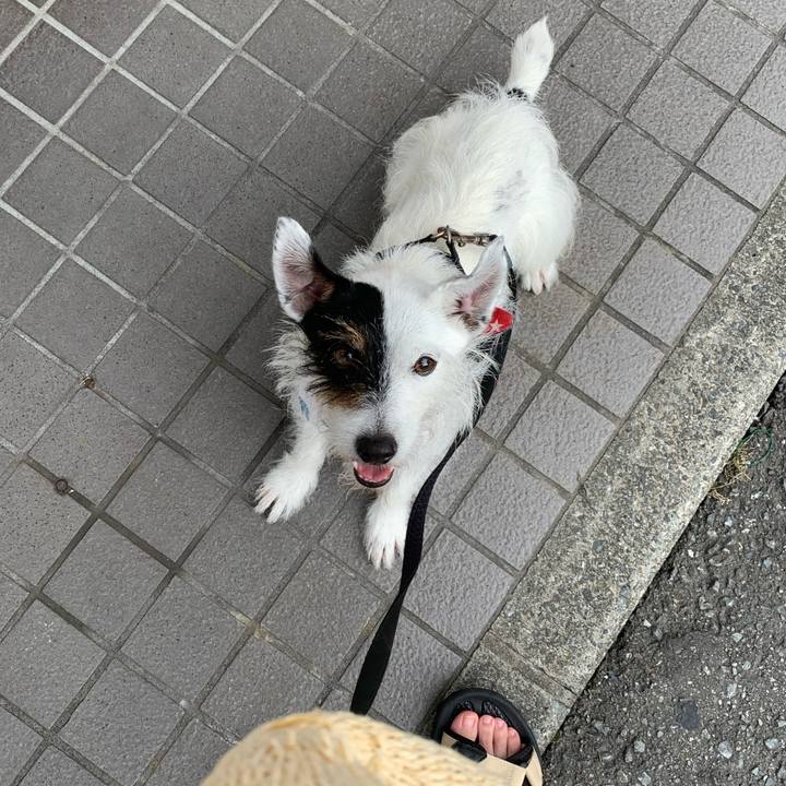 Bcd27211 13b0 41ef 921e d6195566d430 1656665131215