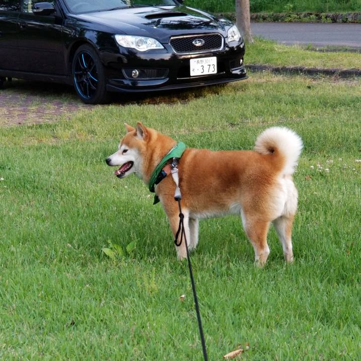 Bcd28dc7 65fe 4c47 b717 7487c89cc93e 1558860663849