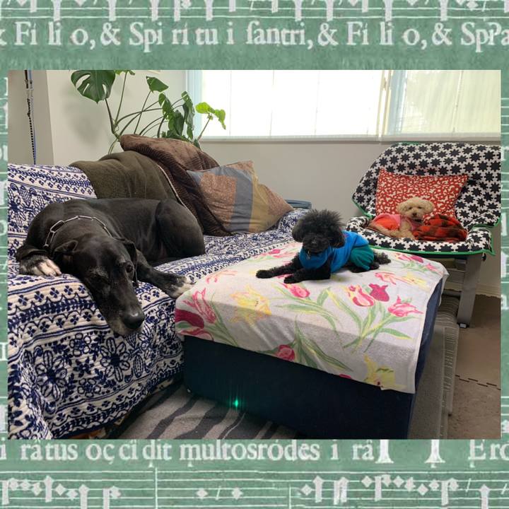 Bcd2f3f2 7d1a 4f4e 91a6 455215853d7e 1547506334648