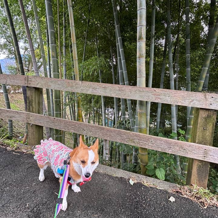 Bcd2f82a 2ef1 4f83 8628 22f4a04e5c65 1760345680242