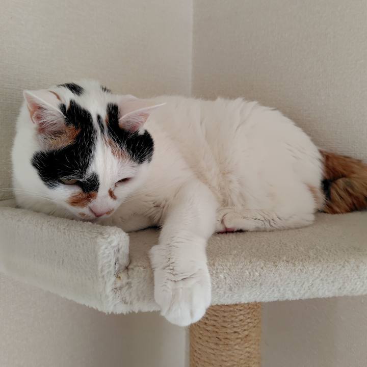 Bcd31775 5ca4 4b78 9d62 c48e9052a67a 1744934774223