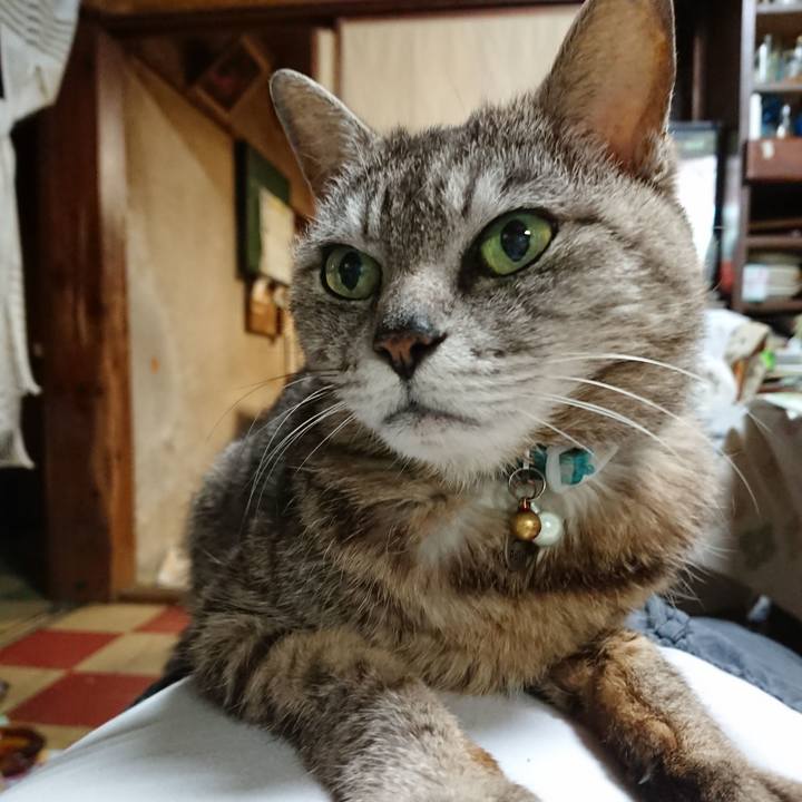 Bcd32d55 39ad 480c 8f5d 67de00811ce4 1561721964881