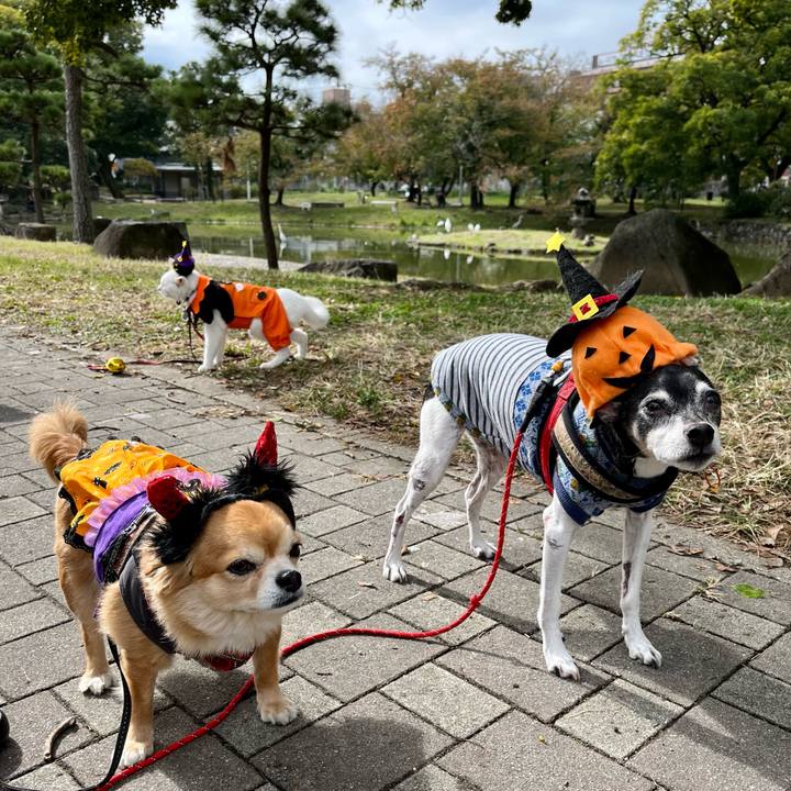 Bcd345a3 b597 44fd a681 6d587d3116ba 1635653225658