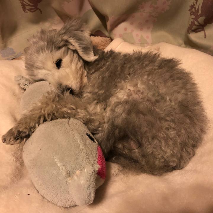 Bcd379ff a5e5 4ddf b094 5d88e98453a4 1643639673591