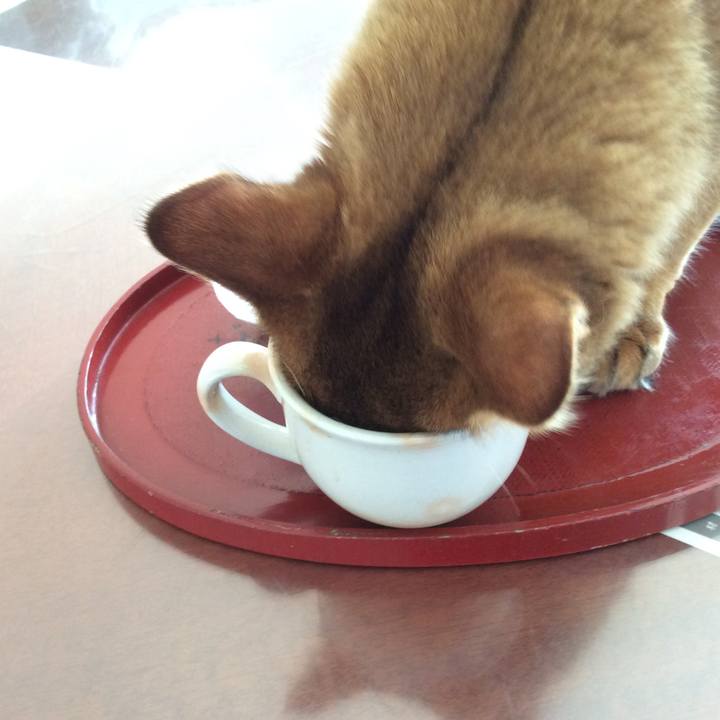 Bcd39577 755a 44b0 9036 e1a279c2d67b 1582156374906