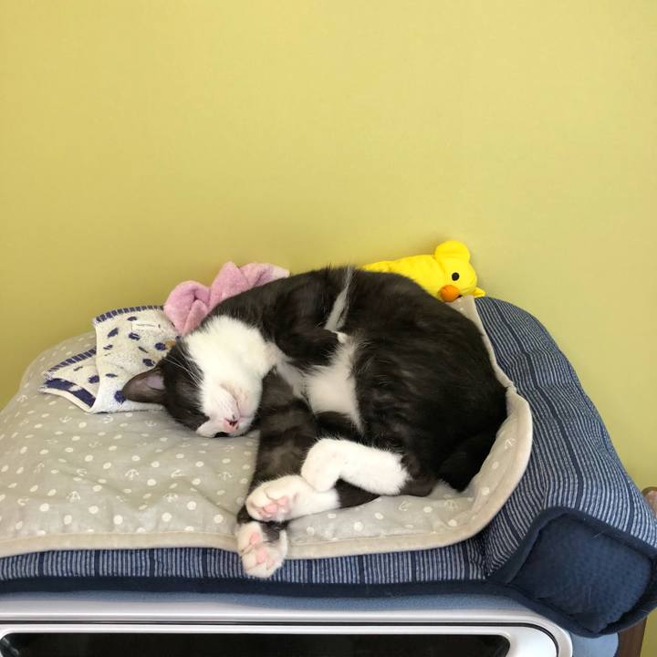 Bcd3b153 14dc 4ae2 83ec abc568ebefdd 1559362376353