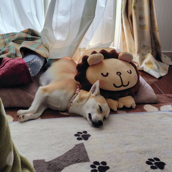 Bcd3f71d d055 4b74 9cee f1e37974602e 1768535255393