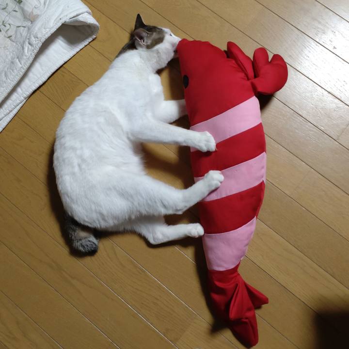 Bcd3f81c 8e10 4092 a362 6219567aa554 1673155801162