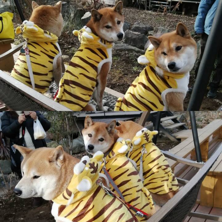 Bcd432f3 e13b 4625 a99e f2a9ee898454 1641804861969