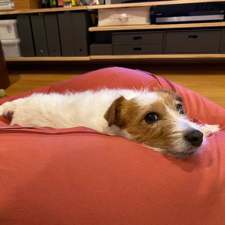 Bcd4551a df50 48dd 80a0 ffb560c3d72c 1619184889162