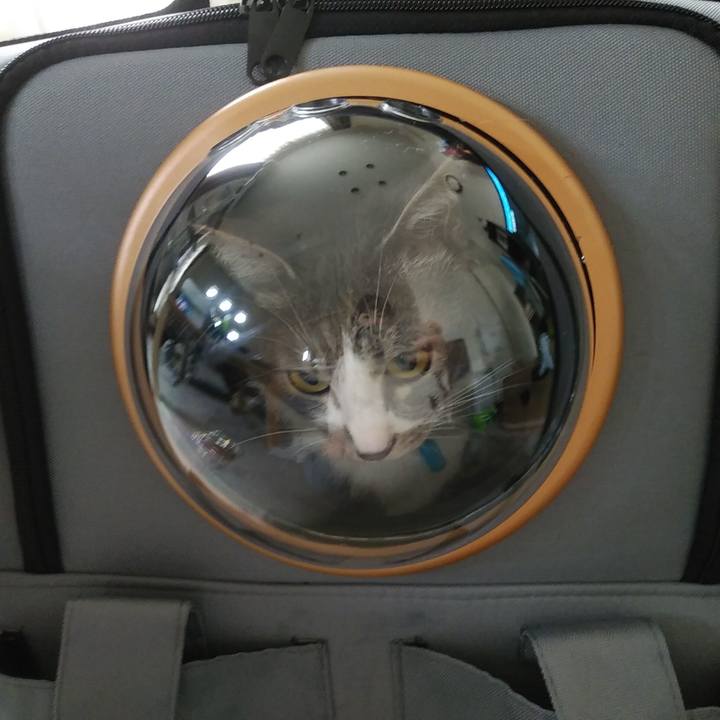 Bcd45614 f037 43ed 9d09 d4ce5cce8177 1590034442830