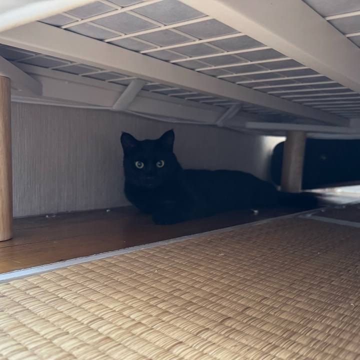 Bcd45a9e 76df 4be8 9d2a e286c7809f6c 1754541167406