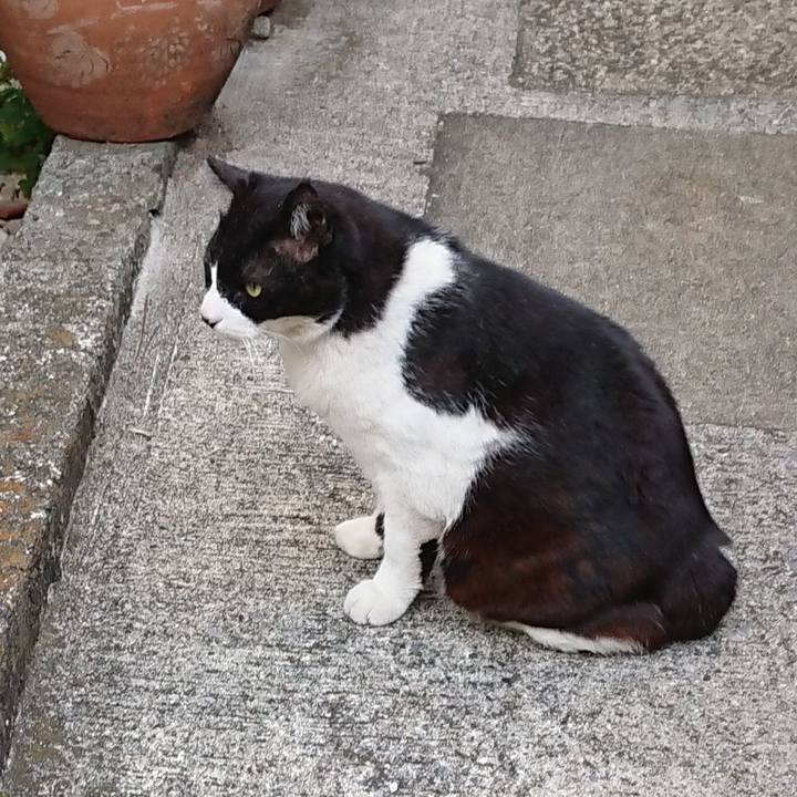 Bcd46409 5201 4bec 8a6c dec3e1f16ea3 1620028851657