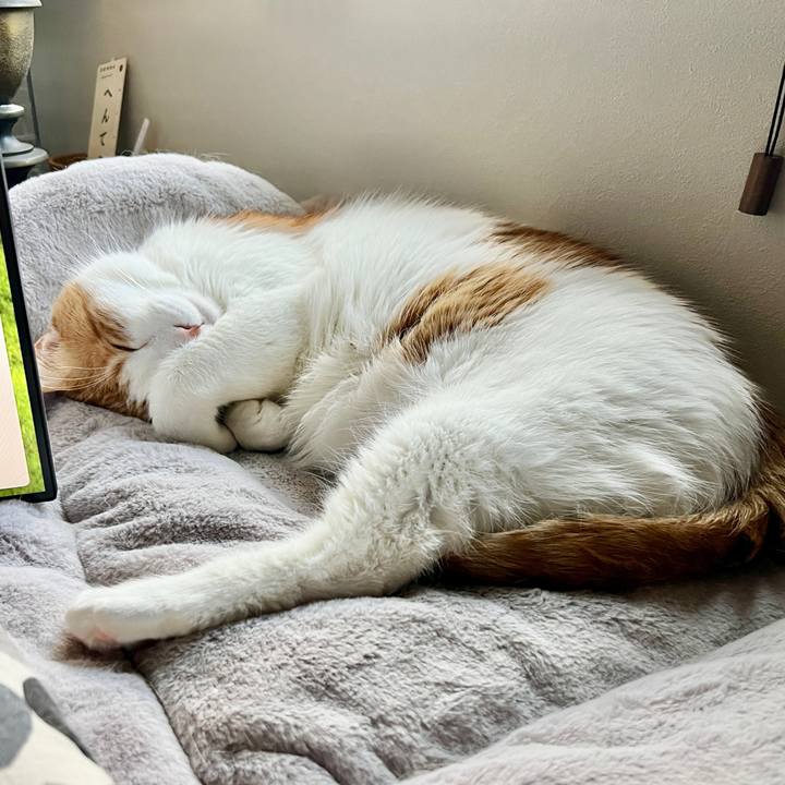 Bcd46510 e353 4066 b701 1967451da569 1771478193058