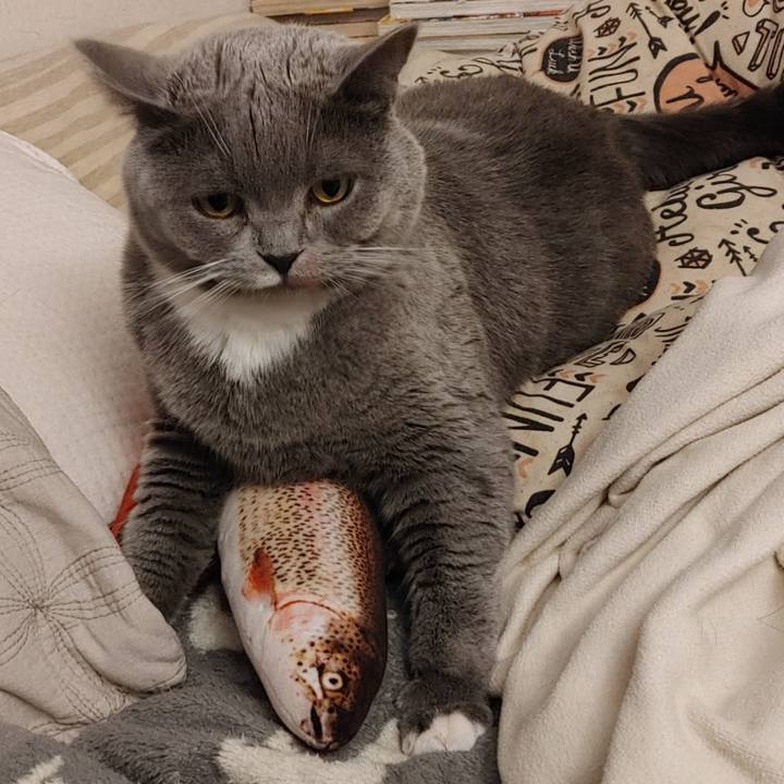 Bcd47135 334e 466b b911 c0aba121ee23 1615629854267