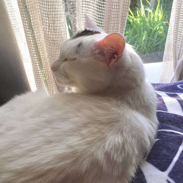 Bcd477f1 aee9 4514 af66 ddd5ab2af0e4 1588755389060