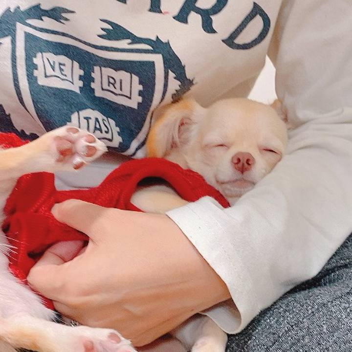 Bcd486d3 7319 4d89 98bf 5e1e8424b9a4 1602747752024