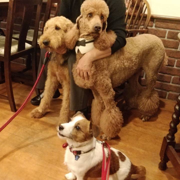 Bcd4974f 40d5 471c b037 d21311b8a368 1541072546421