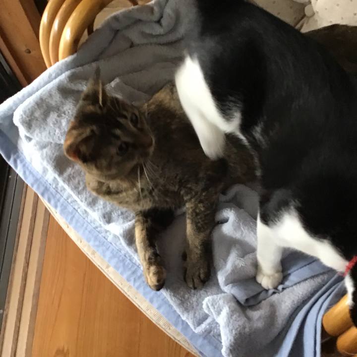 Bcd4c29e 04dd 4ce9 8b38 74a5cd5b277c 1629882225227