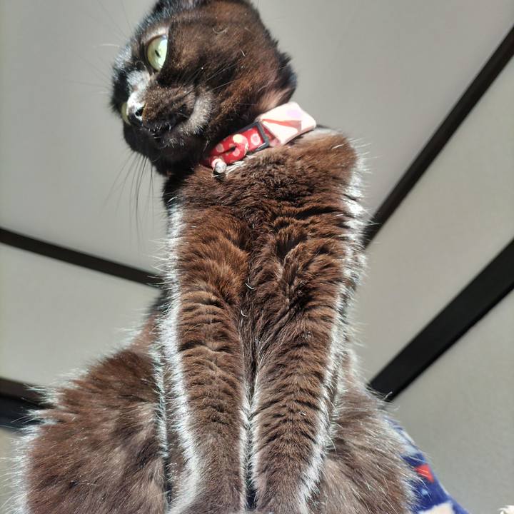 Bcd4ed24 4c79 4a55 a21b 4aa7d43c70c1 1646692524471