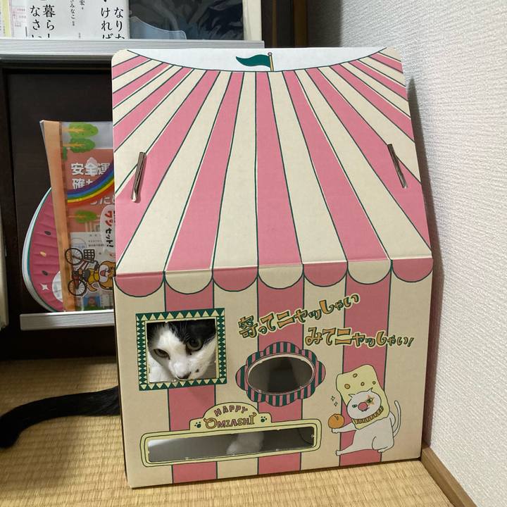 Bcd5077b 6b81 4cfd 808d 21dcc8663d85 1772271504777