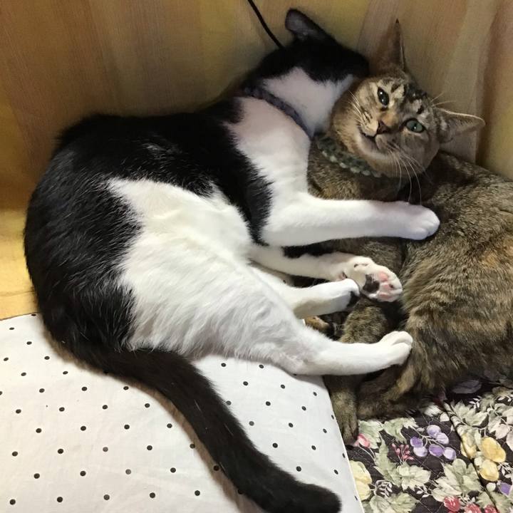 Bcd50a65 dc34 4b93 915c d38e0bd54f38 1640417680850