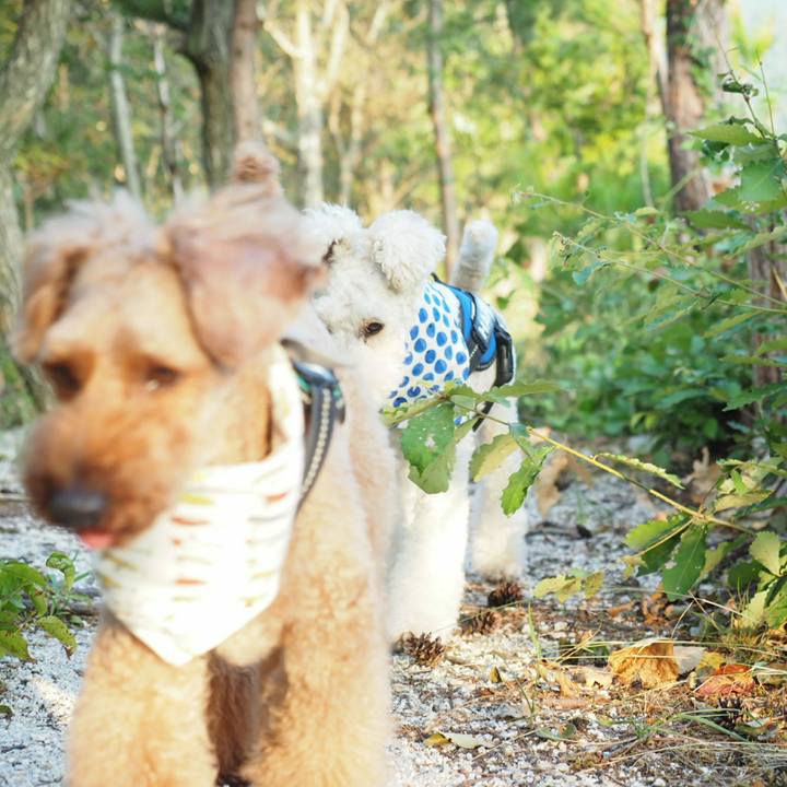 Bcd5200d b2d5 4805 8c50 7aae93d1532d 1533562888018