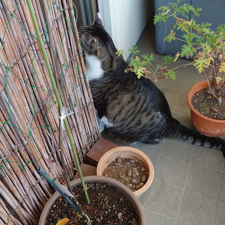 Bcd569c0 bccf 4aa5 91e7 f1b6a8590c34 1674610488957