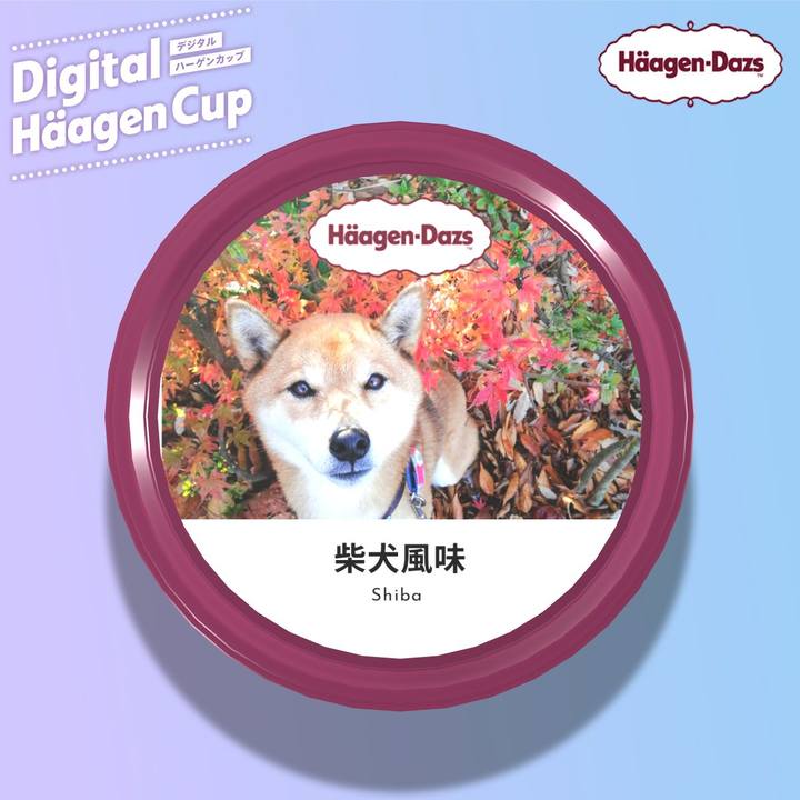 Bcd56d22 8b62 495b ac8e ac5265e8be8a 1607439191681