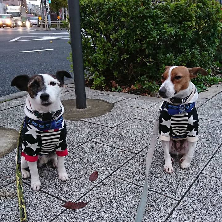 Bcd5c673 63be 42b0 8288 f73c8c41bdf3 1543442677661