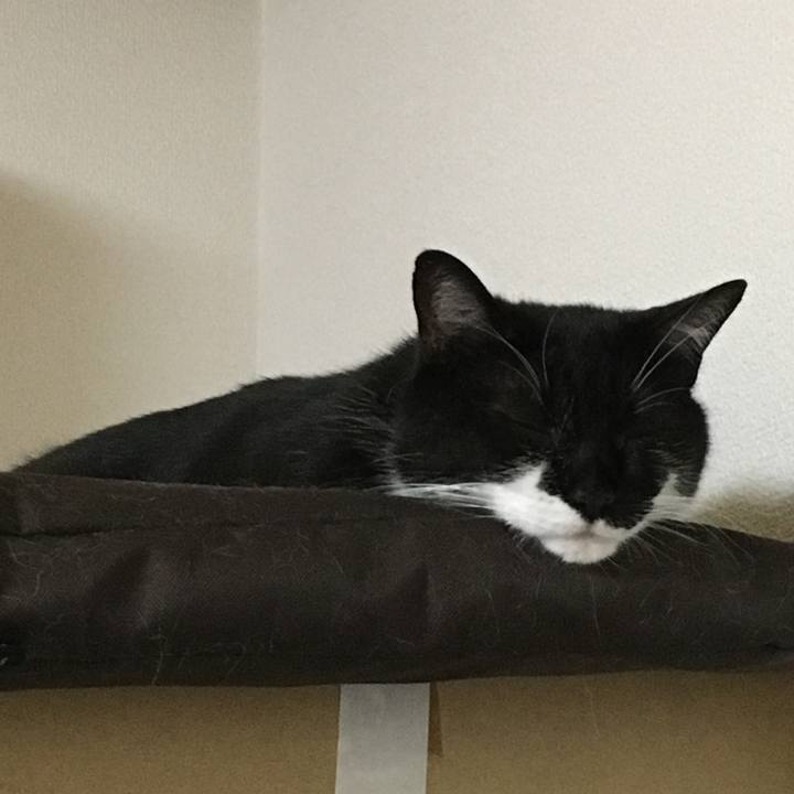 Bcd5cc59 64d4 4015 8279 2c16b97824bd 1530557950793