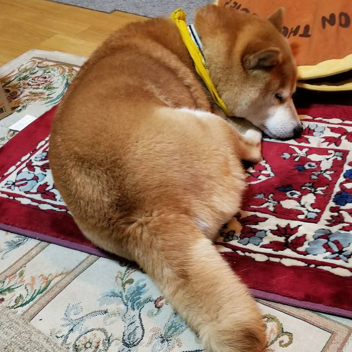 Bcd5dc1f 7575 42da 90b0 81cf828197a9 1522067154907