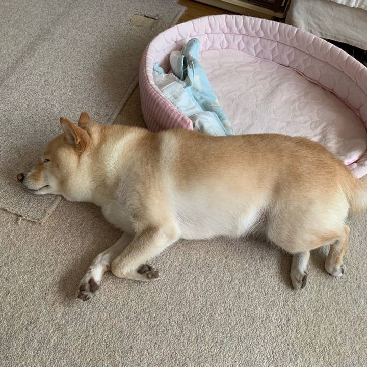 Bcd60073 d146 44e7 862a f12f5b7f0137 1632262214027