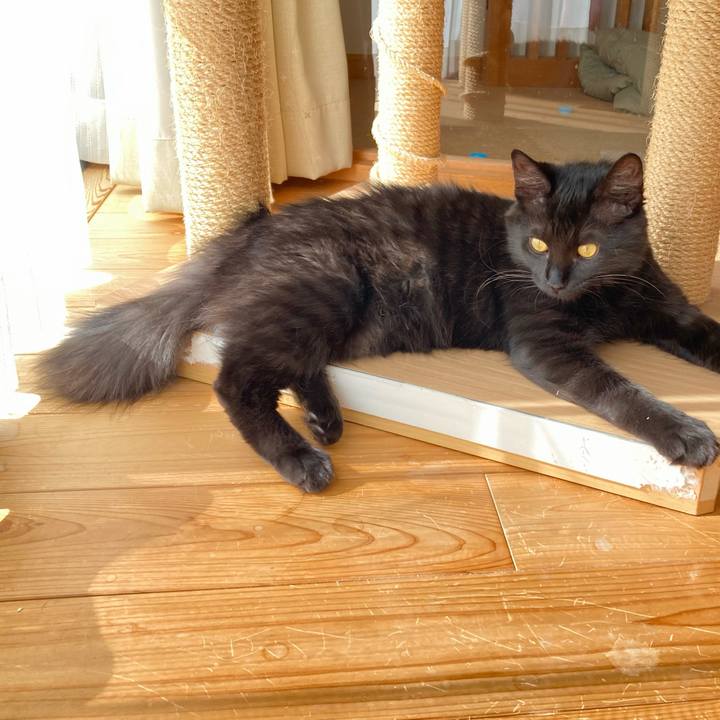 Bcd62c03 b5fc 44de 9e0c e47246e420ab 1707998264661