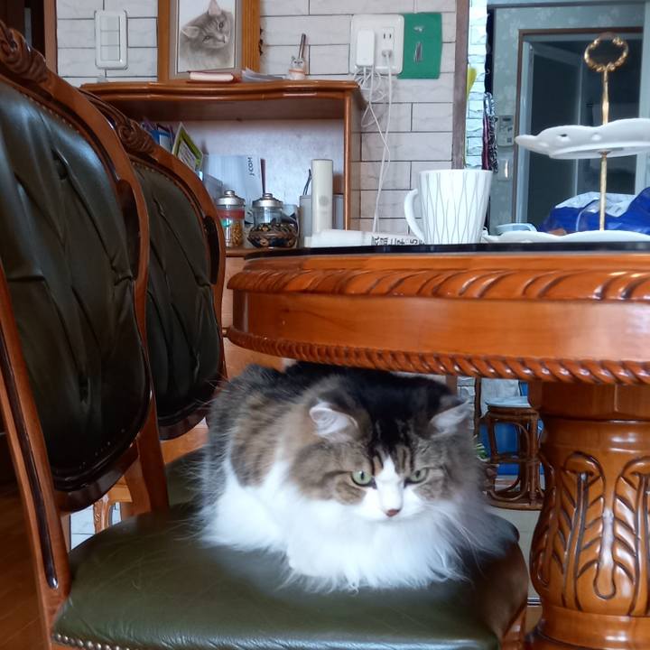 Bcd633b5 0cce 4724 9713 dc13acb80112 1637020226063