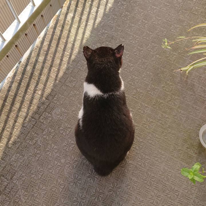 Bcd649be e41d 44a7 a7ea 60c64a72a969 1596755508435