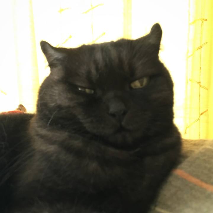 Bcd67178 8487 481d 8ad0 9c5fe8206134 1535949055996