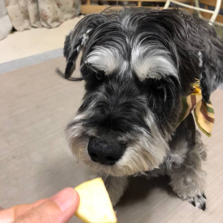 Bcd69a08 2759 49a6 9406 c0cc53804684 1656505862907