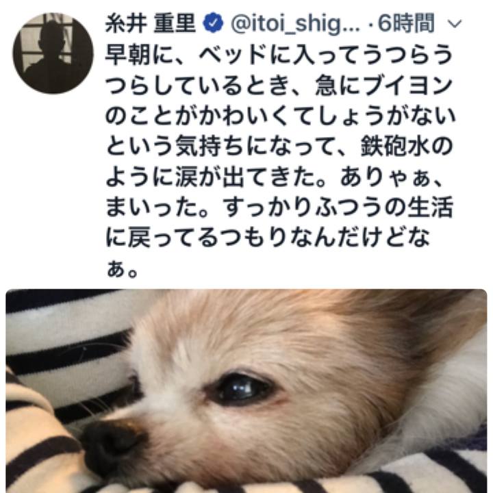 Bcd70f2a 8e83 4d64 af7c 6ec5e3e865b9 1524647952053