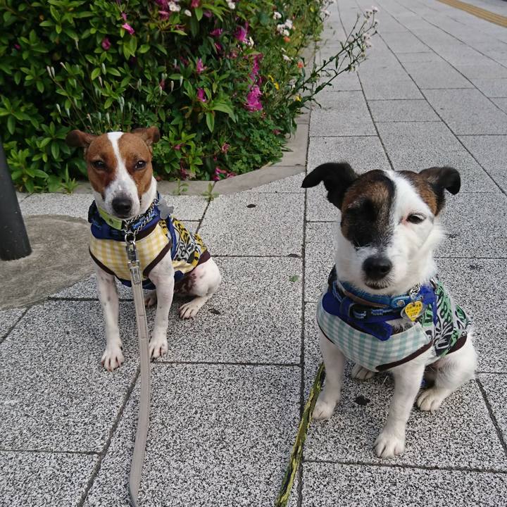 Bcd719b5 39a1 4d63 aef7 e8efcc39d51d 1557873724584