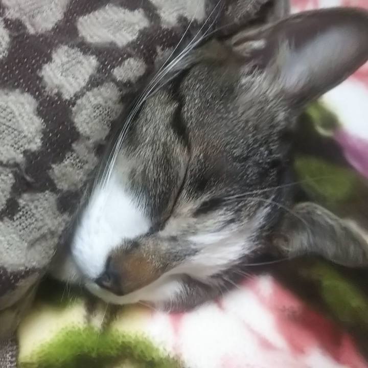 Bcd71a6d 368b 4f4f 8306 8bf088ebb46d 1639307248624