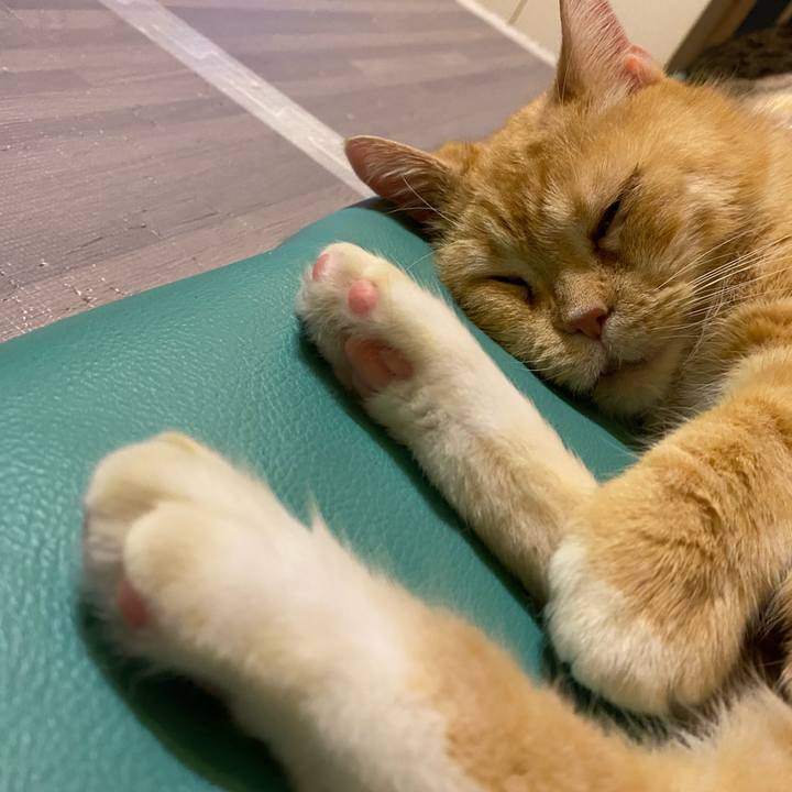 Bcd75f1c 7975 4e9a a277 9a523216e80e 1636906886301