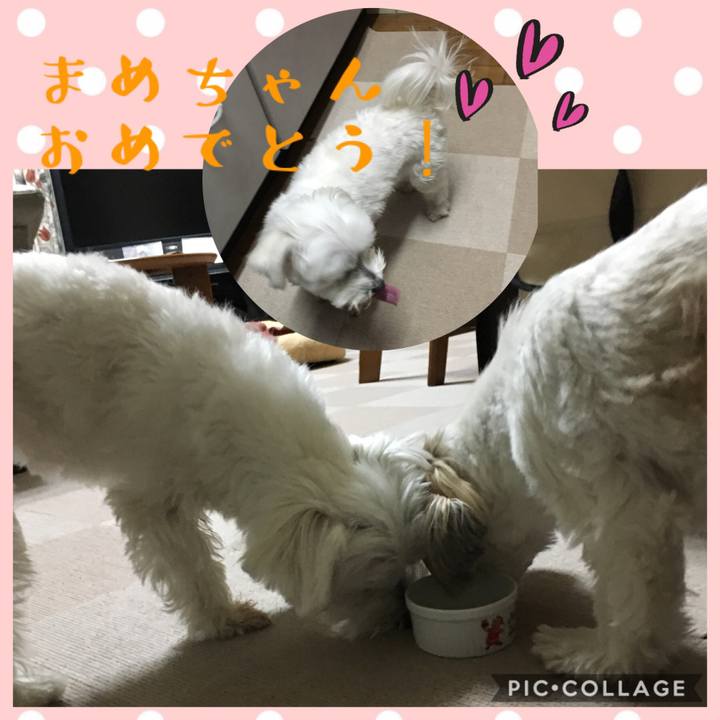 Bcd789c4 9b8c 4f6f 864d 2ca239b7f2a6 1555416092328